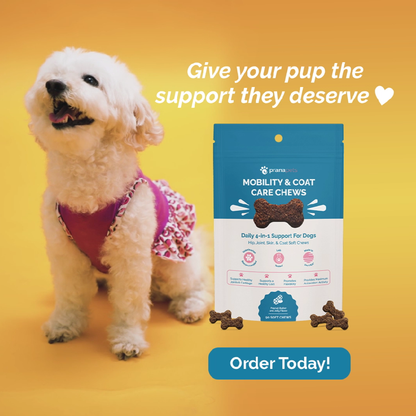 Mobility & Coat Care Chews for Dogs