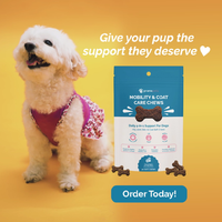 Mobility & Coat Care Chews for Dogs
    