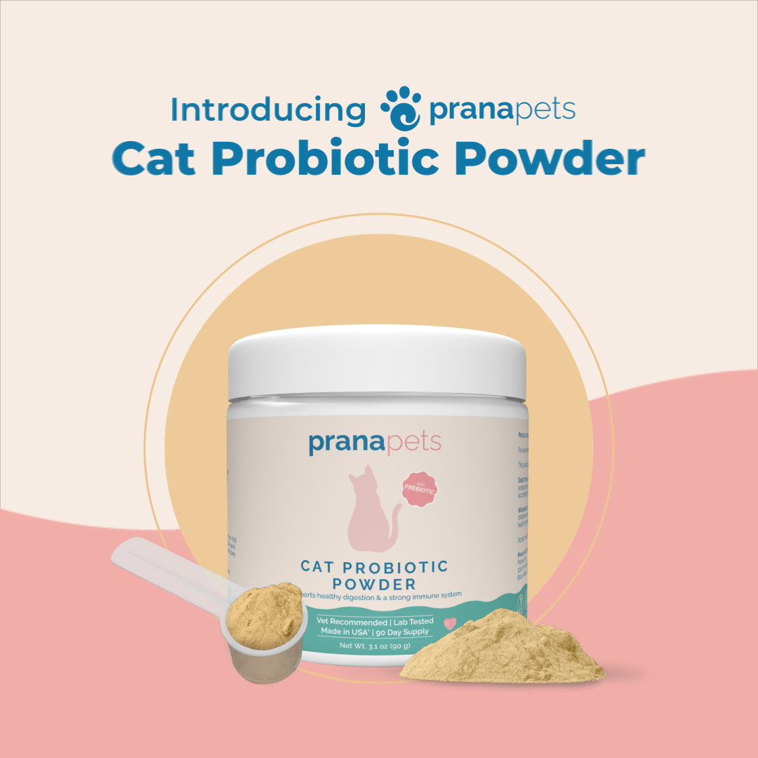 Prana Pets Cat Probiotic Powder for Digestive and Immune Health