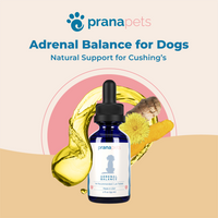 Adrenal and Lignans Combo
    