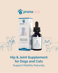 Prana Pets Hip & Joint Supplement with Glucosamine for Dogs
    