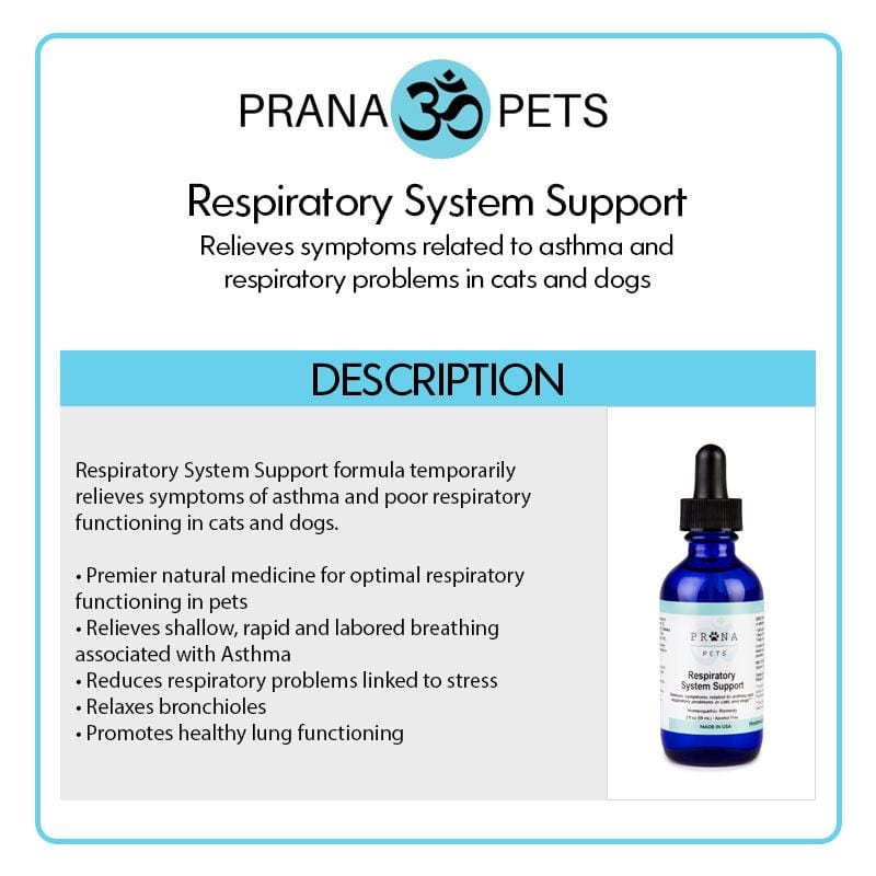 Respiratory System Support- Asthma Defense