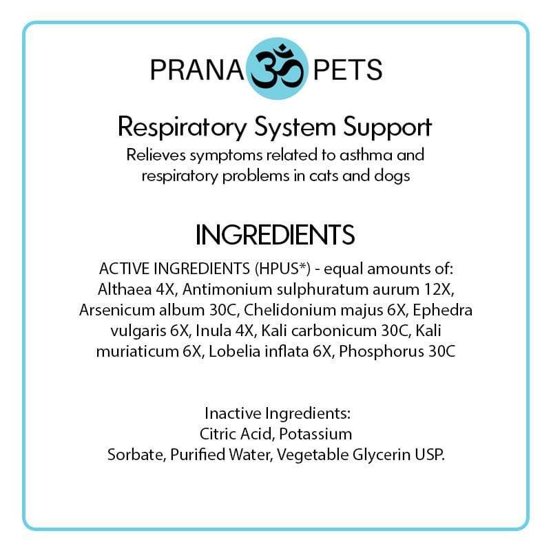 Respiratory System Support- Asthma Defense