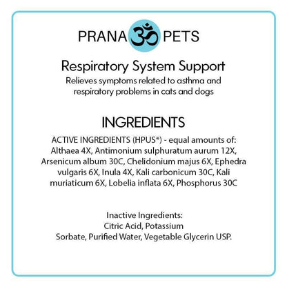 Respiratory System Support- Asthma Defense