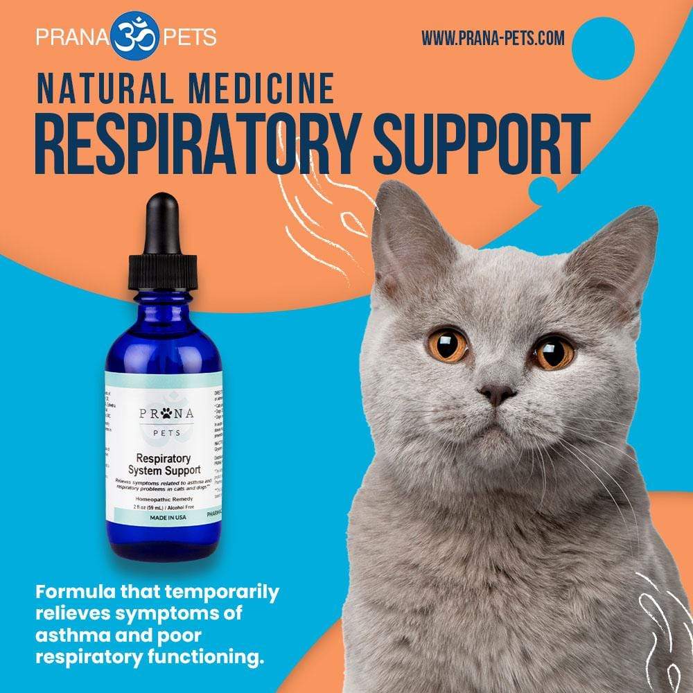 Respiratory System Support- Asthma Defense