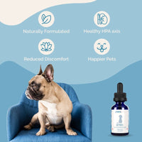Thumbnail for Adrenal Balance for Dogs with Cushing's