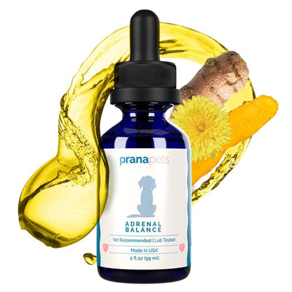 Cushing's Treatment for Dogs - Natural Adrenal Balance