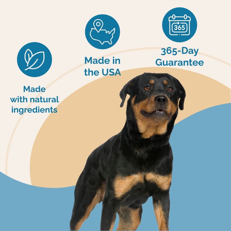 Adrenal Balance for Dogs with Cushing's