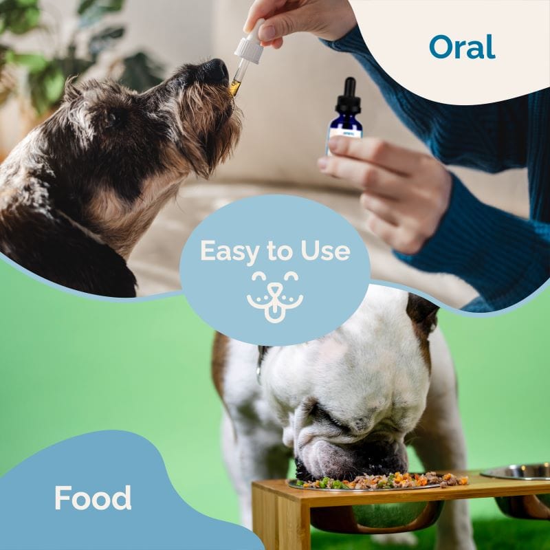 Adrenal Balance for Dogs with Cushing's