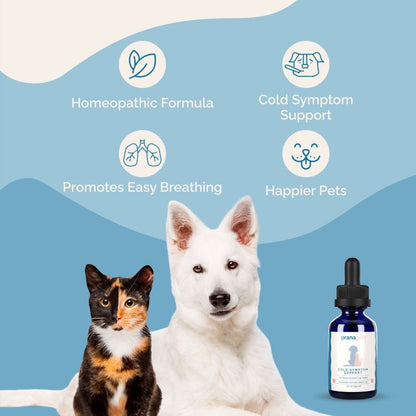 Cold Symptom Support for Cats