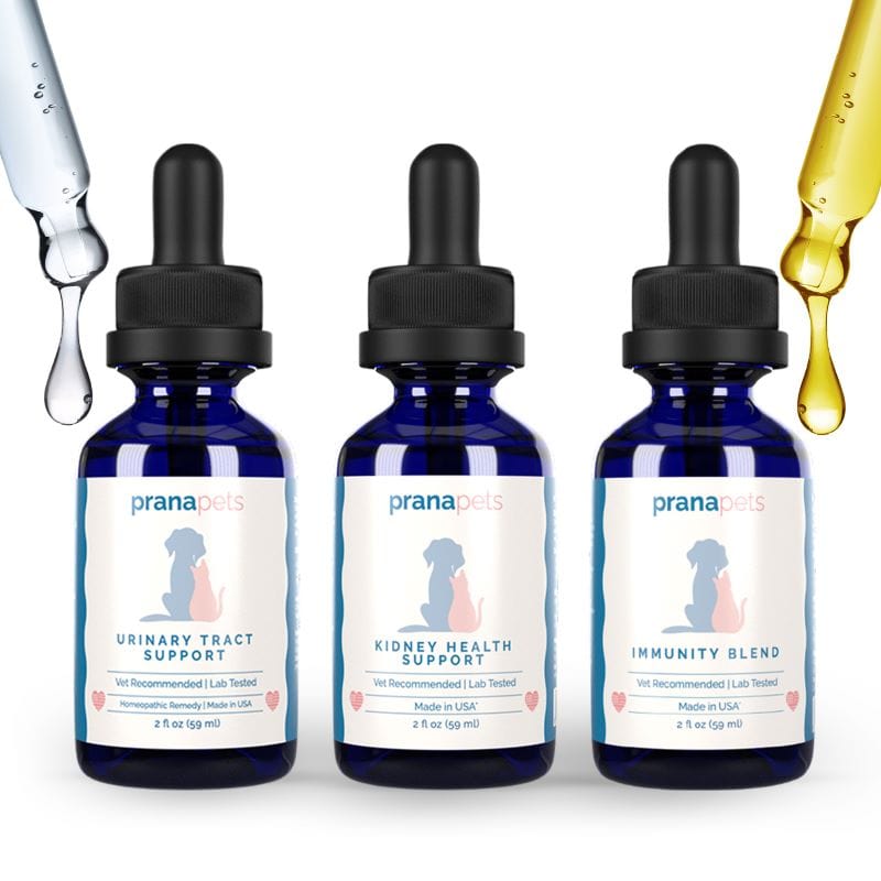 Complete Bladder Immunity Regimen