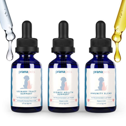 Complete Bladder Immunity Regimen