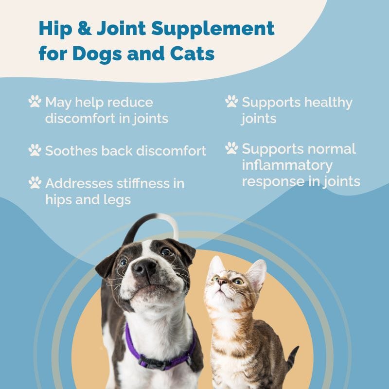 Hip & Joint Supplement with Glucosamine for Cats