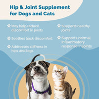Thumbnail for Hip & Joint Supplement with Glucosamine for Dogs