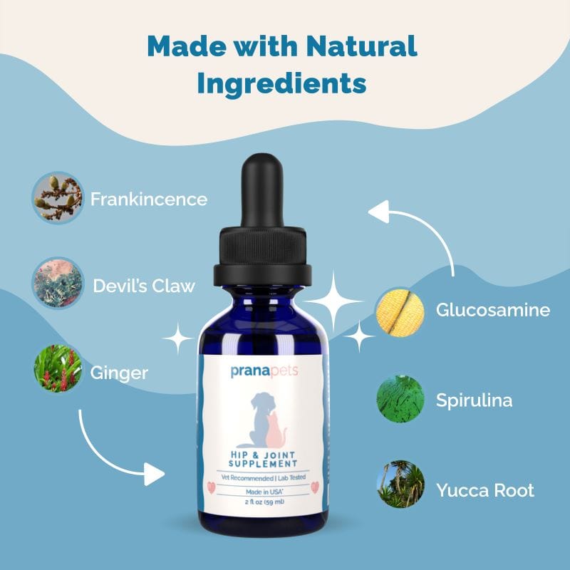 Hip & Joint Supplement with Glucosamine for Dogs