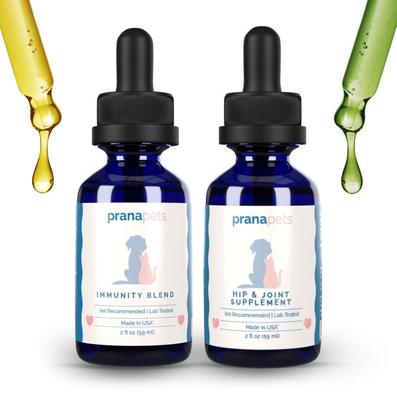 Hip & Joint Immunity Regimen