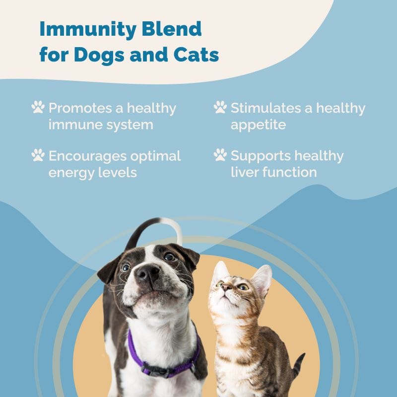 Immunity Blend for Cats