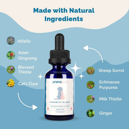 Immunity Blend for Dogs