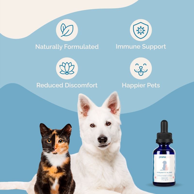 Immunity Blend for Dogs (formerly C-Support)