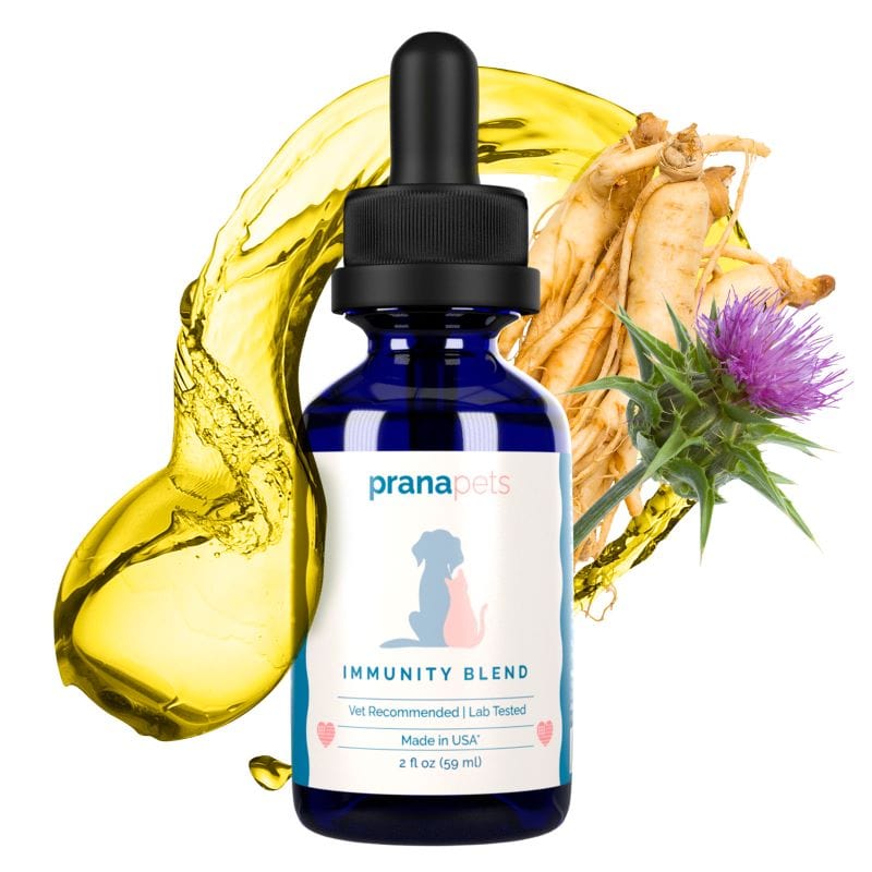 Immunity Blend for Dogs (formerly C-Support)