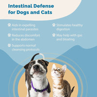 Thumbnail for Intestinal Defense Herbal Dewormer for Cats