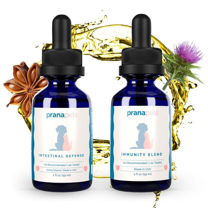 Intestinal Defense Immunity Regimen
