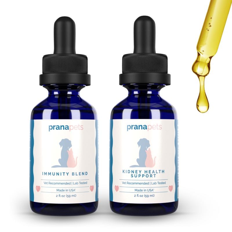 Kidney Immunity Regimen