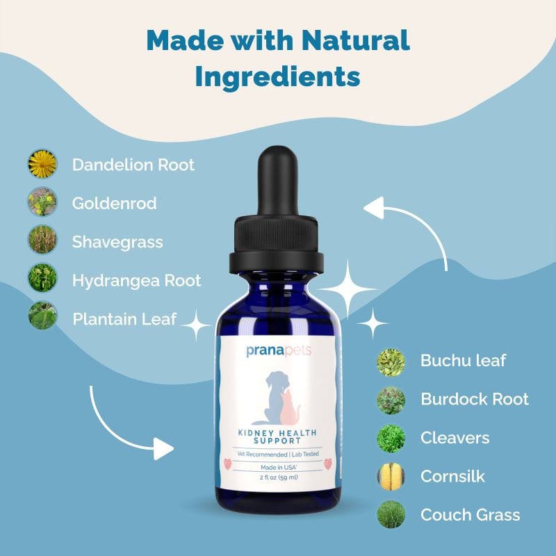 Complete Bladder Immunity Regimen