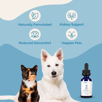 Thumbnail for Kidney Health Support for Pets