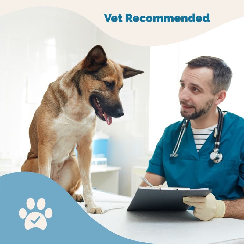 Kidney Health Support for Dogs