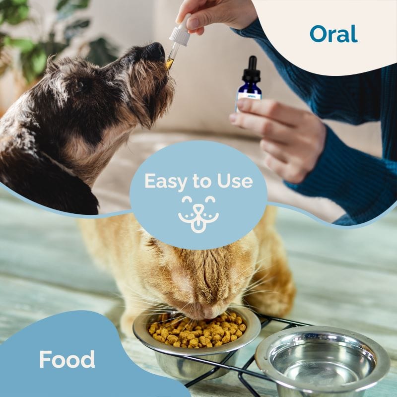 Kidney Health Support for Pets