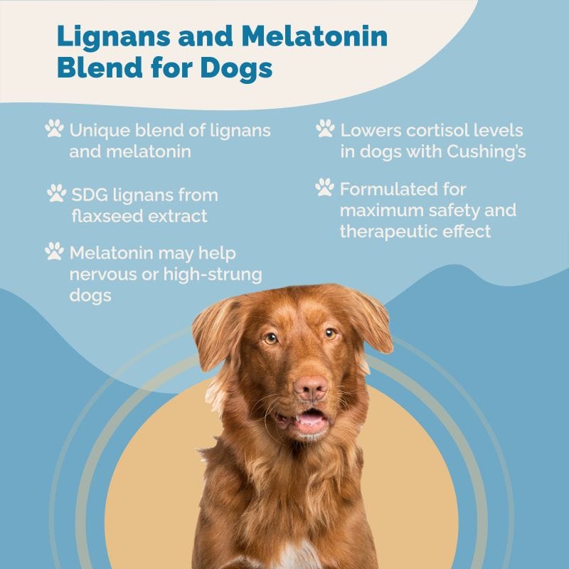 Lignans and Melatonin Blend for Dogs