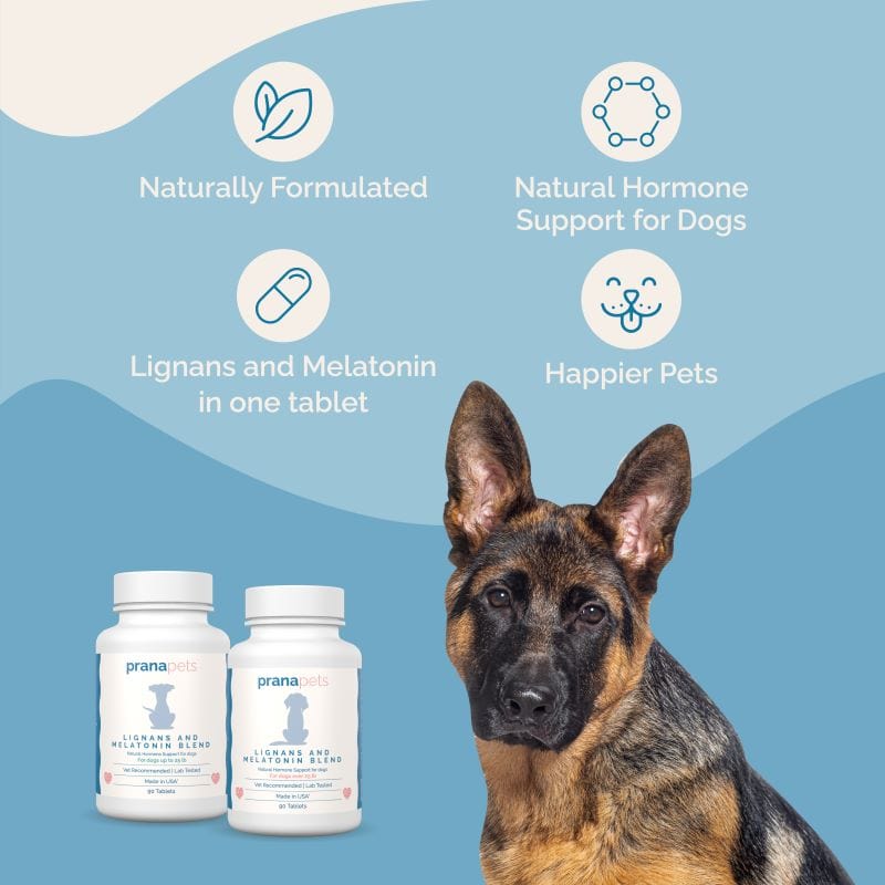 Complete Cushing's Combo Sale