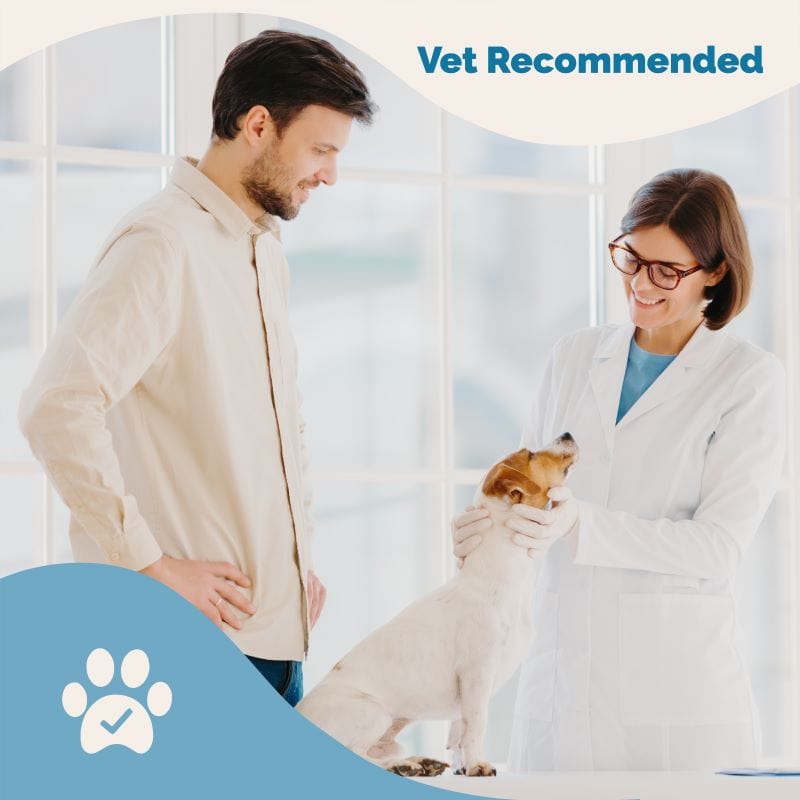 Lignans and Melatonin Blend for Dogs with Biotin