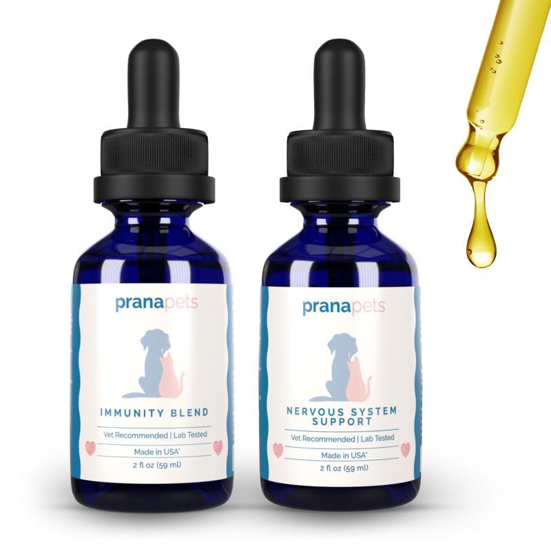 Nervous System Immunity Regimen