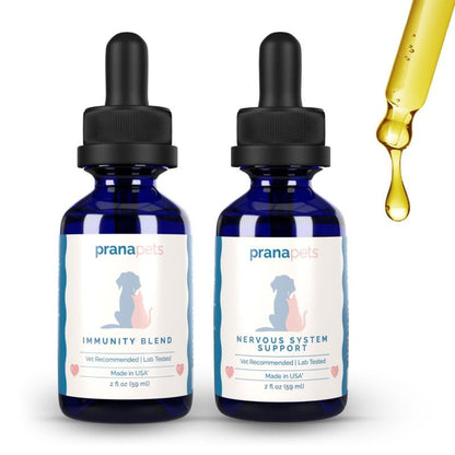 Nervous System Immunity Regimen