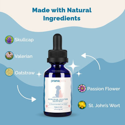 Nervous System Immunity Regimen
