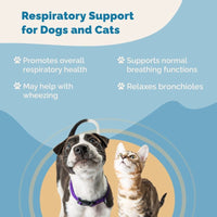 Thumbnail for Respiratory Support For Cats