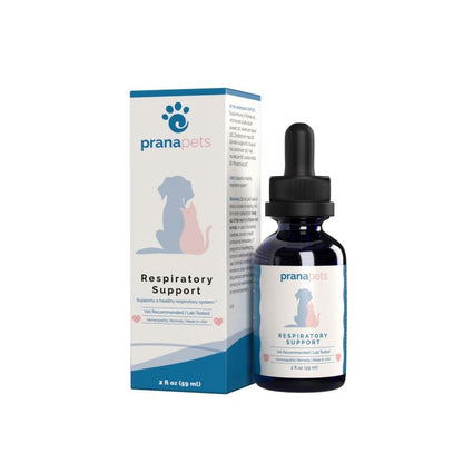 Respiratory Support For Cats