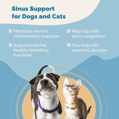 Sinus Support for Dogs and Cats