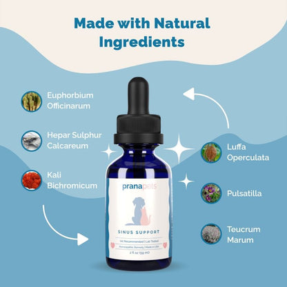 Sinus Support for Dogs and Cats