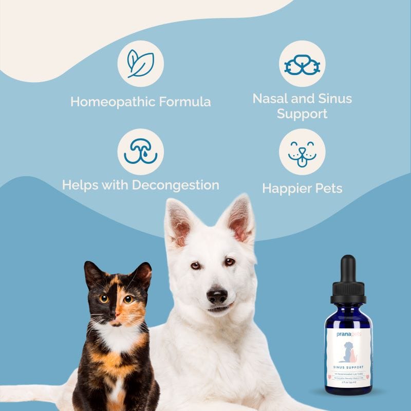 Sinus Support for Dogs and Cats