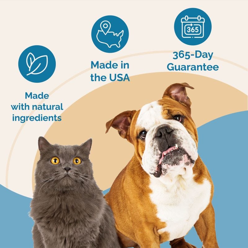 Sinus Support for Dogs and Cats