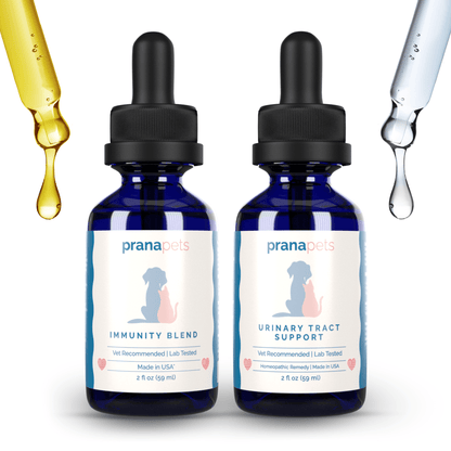 Urinary Immunity Regimen