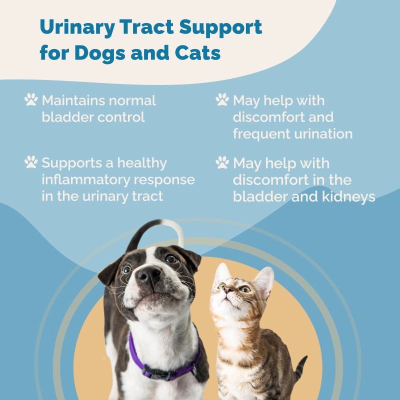 Urinary Tract Support for Pets