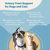Thumbnail for Urinary Tract Support for Pets