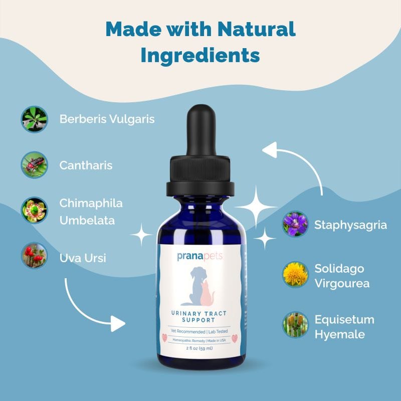 Complete Bladder Immunity Regimen